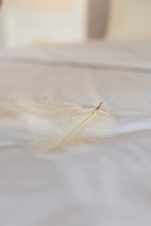 Постільна білизна сатин Crystal White-4